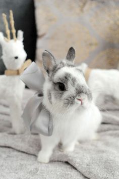 a rabbit with a bow on its head sitting on a bed next to a stuffed llama