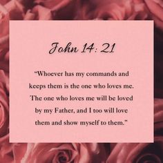 Love 🤍 Obey | Read John 14 📖