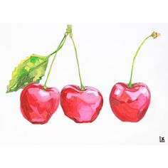 three cherries hanging from a green leaf on a white background, one red and the other pink