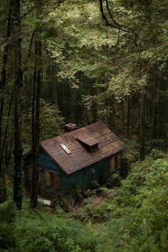 an old house in the woods surrounded by tall trees and green grass, with a rusted roof