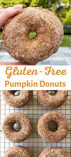 gluten - free pumpkin donuts on a cooling rack