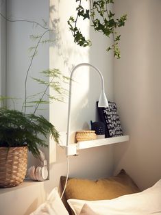 a bed with white sheets and plants hanging from the headboard, next to a window