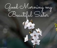 a white flower with the words good morning my beautiful sister