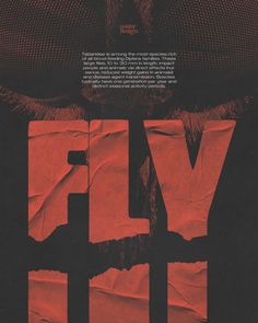 a movie poster with the words fly in front of an image of a man's face