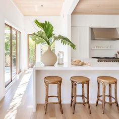 three stools sit in front of an island with a potted plant on it