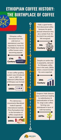 Infographic timeline: Ethiopian Coffee History History Of Ethiopia, Ethiopian Coffee, Coffee Board, Bookstore Cafe, Coffee Business, Coffee House, Ethiopia