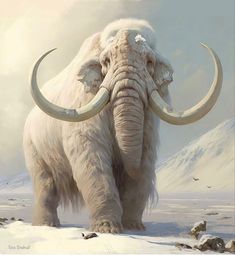 an elephant with long tusks standing in the snow