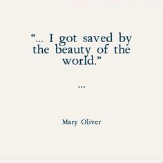 mary olver quote i got saved by the beauty of the world on white background