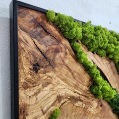 an art piece with moss growing on top of it, mounted to the side of a wall