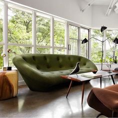 a living room filled with furniture and lots of windows