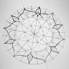 a drawing of a circular object with lines in the middle and leaves on it's side