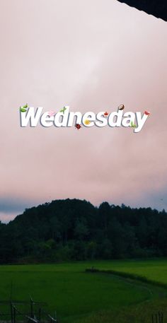 the word wednesday is displayed in front of a green field with trees and hills behind it