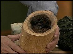 a person holding a piece of wood with dirt in it