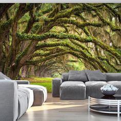 a living room with couches and tables in front of an oak tree covered wall