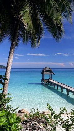 a pier on the beach with palm trees and clear blue water in the foreground