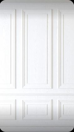 an image of a white door with paneling on the outside and side panels in the inside