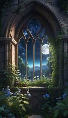 an image of a window that looks out into the night sky with flowers and trees