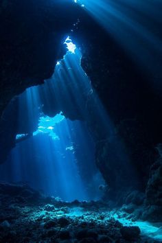 an underwater cave with sunbeams and light coming from the water's surface