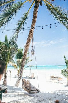 a hammock hanging from a palm tree on the beach