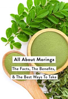 What Is Moringa, Moringa Recipes, Benefits Of Moringa, Moringa Capsules, Moringa Benefits, Moringa Seeds, Moringa Tree, Miracle Tree, Moringa Powder