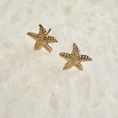 Gold Starfish Summertime Stud Earrings Starfish Earrings, Brand Jewelry, Earrings Color, Jewelry Gold, No Brand, Jewelry Branding, Starfish, Gold Jewelry, Jewelry Earrings