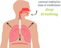 a diagram of the human body showing the location of the lungs and breathing apparatuss