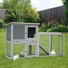 two rabbits in a small coop on the grass