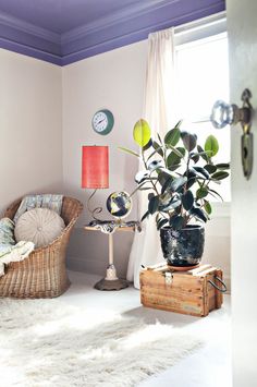 a living room filled with furniture and a potted plant