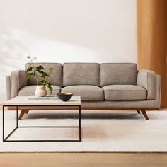 a living room with a couch, coffee table and potted plant