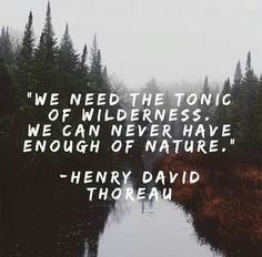 an instagram page with a quote from henry david thoren on it and trees in the background