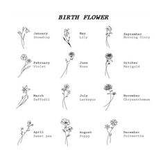 the birth flower chart is shown in black and white