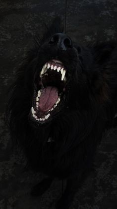 a black dog with its mouth open and it's tongue out