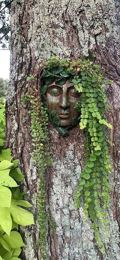 a face carved into the side of a tree in front of some plants and trees