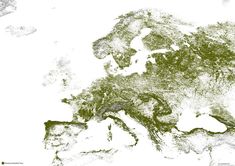 an image of a map that shows the land cover by countries in green and brown