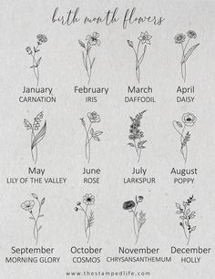 an image of flowers that are in the month of march