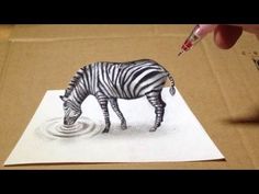 a drawing of a zebra drinking water from a puddle