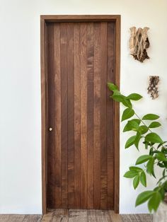 a wooden door sitting next to a potted plant