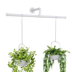 two hanging planters filled with green plants