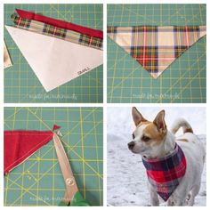 four pictures showing how to make an origami dog bandana with scissors and fabric