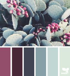 a color palette with different shades of purple and green, including the cactus in the center