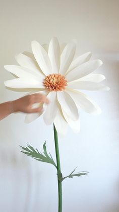 a white flower being held up by someone's hand over the top of it