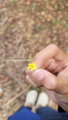 a person holding a tiny yellow flower in their hand