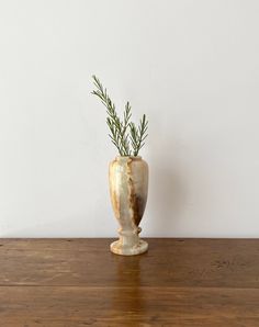 a plant in a vase on a wooden table