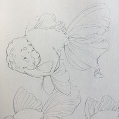 a pencil drawing of a fish and flowers