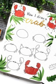 an open notebook with drawings of crabs and sea animals on it, next to some green leaves