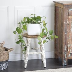 a potted plant sitting on top of a wooden stool next to a basket filled with plants