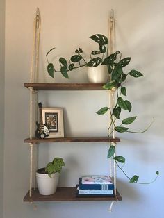 three wooden shelves with plants and books on them, hanging from the wall next to a potted plant