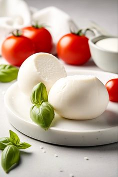 mozzarella, tomatoes and basil on a white plate