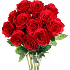 a bunch of red roses in a vase