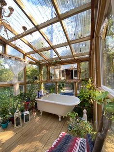 a bath tub sitting inside of a bathroom next to a wooden floor covered in plants